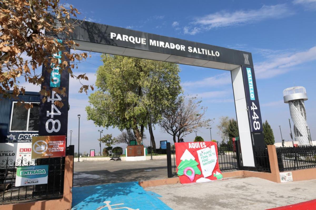 Dispone Municipio centros de acopio para pinos naturales de Navidad